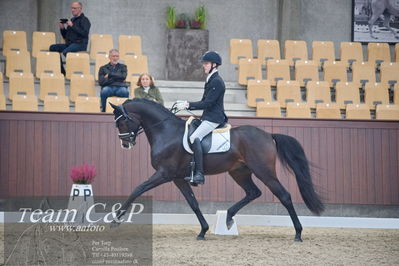 Blue Hors
1. kvl 4års heste dressur
Nøgleord: hesselhøj double up;anders uve sjøbeck hoeck