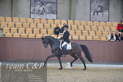 Blue Hors
1. kvl 4års heste dressur
Nøgleord: hesselhøj double up;anders uve sjøbeck hoeck