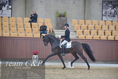 Blue Hors
1. kvl 4års heste dressur
Nøgleord: hesselhøj double up;anders uve sjøbeck hoeck