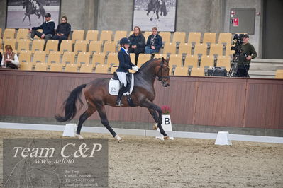 Blue Hors
1. kvl 4års heste dressur
Nøgleord: blue hors monte carlo tc;nanna skjold merrald