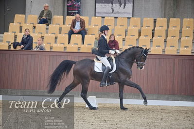 Blue Hors
1. kvl 4års heste dressur
Nøgleord: hesselhøj double up;anders uve sjøbeck hoeck