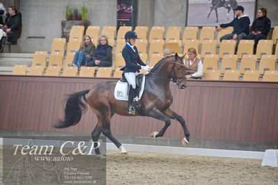 Blue Hors
1. kvl 4års heste dressur
Nøgleord: blue hors monte carlo tc;nanna skjold merrald