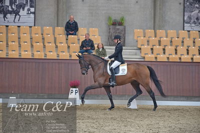 Blue Hors
1. kvl 4års heste dressur
Nøgleord: grevens venezia;silje bakken