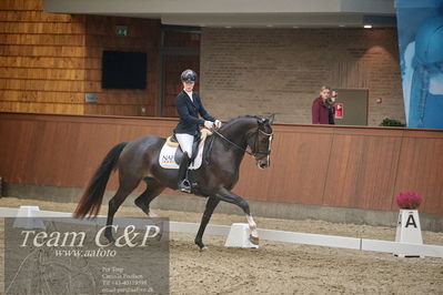 Blue Hors
1. kvl 4års heste dressur
Nøgleord: atterupgaards delahaye;selina solberg vittinghus