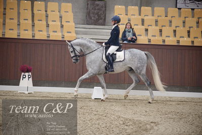 Blue Hors
5års dressur kvl
Nøgleord: sissel bille jacobsen;dune nec