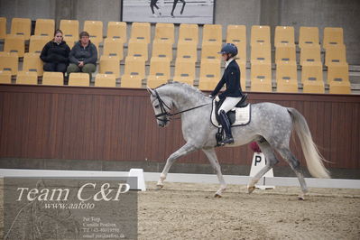 Blue Hors
5års dressur kvl
Nøgleord: sissel bille jacobsen;dune nec