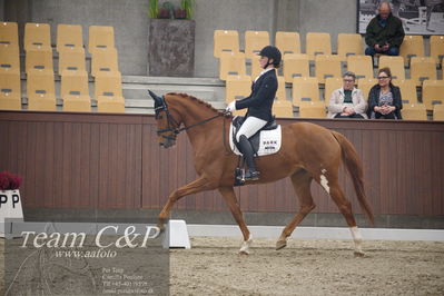 Blue Hors
5års dressur kvl
Nøgleord: ditte stærk just;white spot nobel