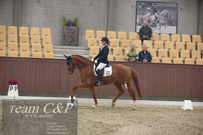 Blue Hors
5års dressur kvl
Nøgleord: ditte stærk just;white spot nobel