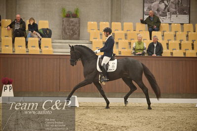 Blue Hors
5års dressur kvl
Nøgleord: movie star 29;severo jurado lopez