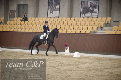 Blue Hors
5års dressur kvl
Nøgleord: movie star 29;severo jurado lopez