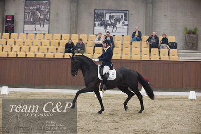 Blue Hors
5års dressur kvl
Nøgleord: movie star 29;severo jurado lopez