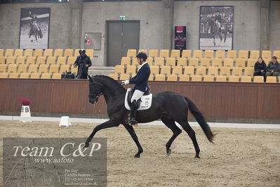 Blue Hors
5års dressur kvl
Nøgleord: movie star 29;severo jurado lopez