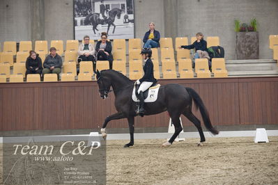 Blue Hors
5års dressur kvl
Nøgleord: atterupgaards lady;selina solberg vittinghus