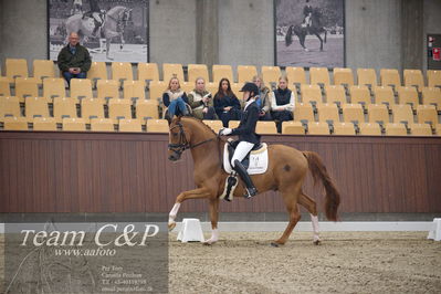 Blue Hors
5års dressur kvl
Nøgleord: frederikke lundgren skelmose;fire  dream