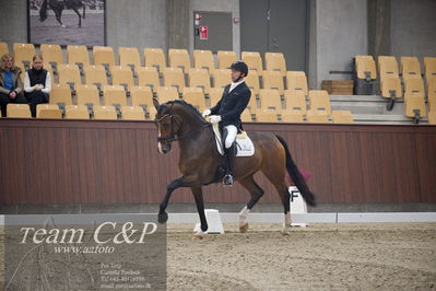Blue Hors
5års dressur kvl
Nøgleord: michael grønne christensen;svalegårds hot zalina