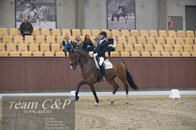 Blue Hors
5års dressur kvl
Nøgleord: michael grønne christensen;svalegårds hot zalina