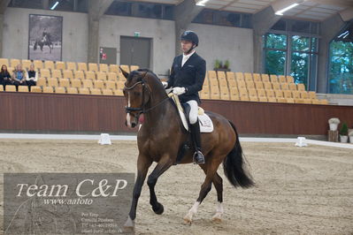 Blue Hors
5års dressur kvl
Nøgleord: michael grønne christensen;svalegårds hot zalina