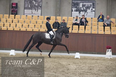 Blue Hors
5års dressur kvl
Nøgleord: dennis kjær;polka facination m