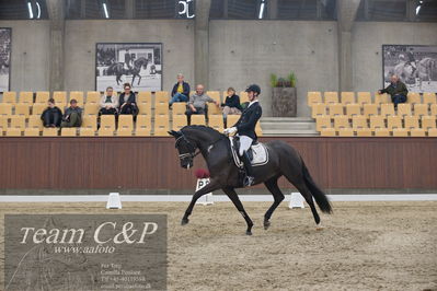 Blue Hors
5års dressur kvl
Nøgleord: dennis kjær;polka facination m