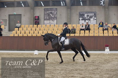 Blue Hors
5års dressur kvl
Nøgleord: dennis kjær;polka facination m