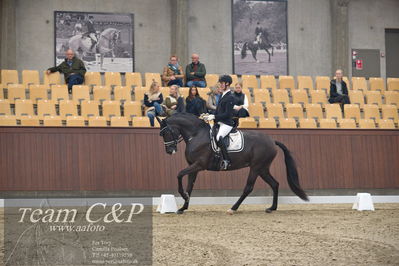 Blue Hors
5års dressur kvl
Nøgleord: dennis kjær;polka facination m