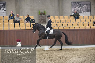 Blue Hors
5års dressur kvl
Nøgleord: dennis kjær;polka facination m