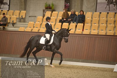 Blue Hors
5års dressur kvl
Nøgleord: kgs hørgaards fighter dwb;ida gulberg