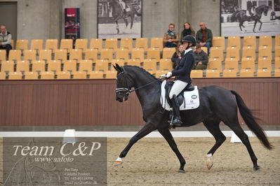 Blue Hors
5års dressur kvl
Nøgleord: kgs hørgaards fighter dwb;ida gulberg