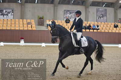 Blue Hors
5års dressur kvl
Nøgleord: kgs hørgaards fighter dwb;ida gulberg