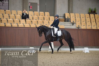 Blue Hors
5års dressur kvl
Nøgleord: hp grace;mia lykke ravn