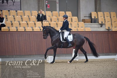 Blue Hors
5års dressur kvl
Nøgleord: hp grace;mia lykke ravn