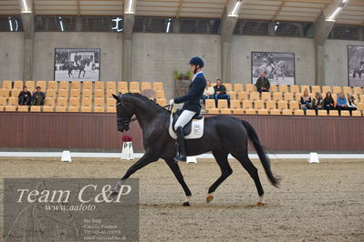 Blue Hors
5års dressur kvl
Nøgleord: ulrik falbe-hansen;blue hors victor