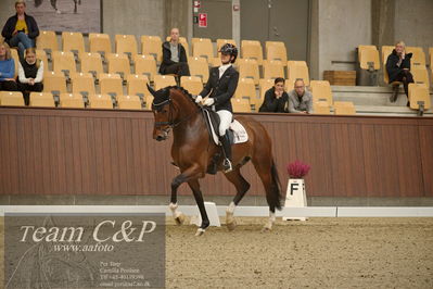Blue Hors
5års dressur kvl
Nøgleord: betina jæger jensen;hussmanns top gun