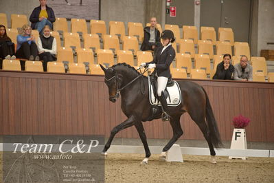 Blue Hors
5års dressur kvl
Nøgleord: cecilie hedegård;ellely's pinell