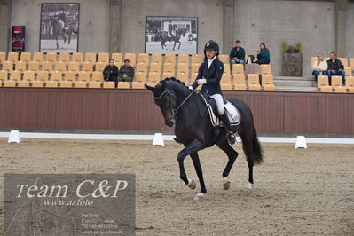 Blue Hors
5års dressur kvl
Nøgleord: cecilie hedegård;ellely's pinell