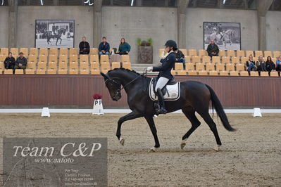 Blue Hors
5års dressur kvl
Nøgleord: cecilie hedegård;ellely's pinell