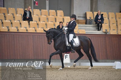 Blue Hors
5års dressur kvl
Nøgleord: cecilie hedegård;ellely's pinell