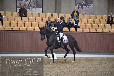 Blue Hors
5års dressur kvl
Nøgleord: cecilie hedegård;ellely's pinell