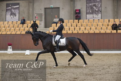 Blue Hors
5års dressur kvl
Nøgleord: cecilie hedegård;ellely's pinell