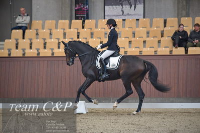 Blue Hors
5års dressur kvl
Nøgleord: cecilie hedegård;ellely's pinell