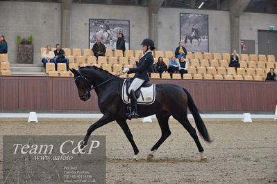 Blue Hors
5års dressur kvl
Nøgleord: cecilie hedegård;ellely's pinell