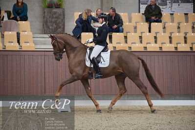 Blue Hors
5års dressur kvl
Nøgleord: fruerings saigon;susanne barnow