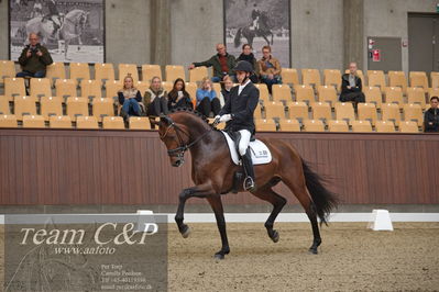 Blue Hors
5års dressur kvl
Nøgleord: fynch hatton;andreas helgstrand