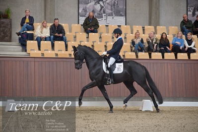 Blue Hors
5års dressur kvl
Nøgleord: blue hors zackorado;christian tudda ruiz
