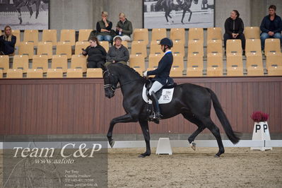 Blue Hors
5års dressur kvl
Nøgleord: blue hors zackorado;christian tudda ruiz
