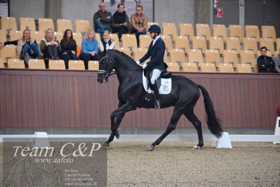 Blue Hors
5års dressur kvl
Nøgleord: blue hors zackorado;christian tudda ruiz
