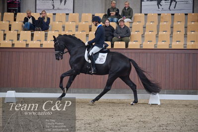 Blue Hors
5års dressur kvl
Nøgleord: blue hors zackorado;christian tudda ruiz