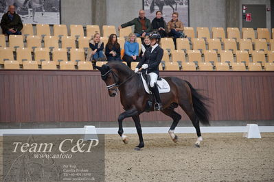 Blue Hors
5års dressur kvl
Nøgleord: anne-mette strandby hansen;vendome