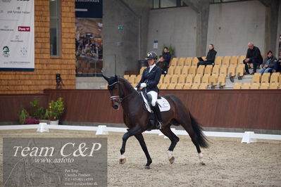 Blue Hors
5års dressur kvl
Nøgleord: anne-mette strandby hansen;vendome