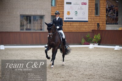 Blue Hors
5års dressur kvl
Nøgleord: anne-mette strandby hansen;vendome